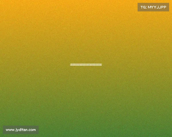 法比奥席尔瓦倾向加盟罗马但多特报价更具吸引力